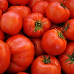 Beefsteak Tomato Seeds - Heirloom Slicing Tomato, NON-GMO, Free Shipping
