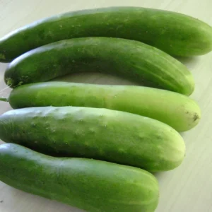 Garden Sweet Cucumber Seeds Organic Burpless Non-GMO - Free Shipping