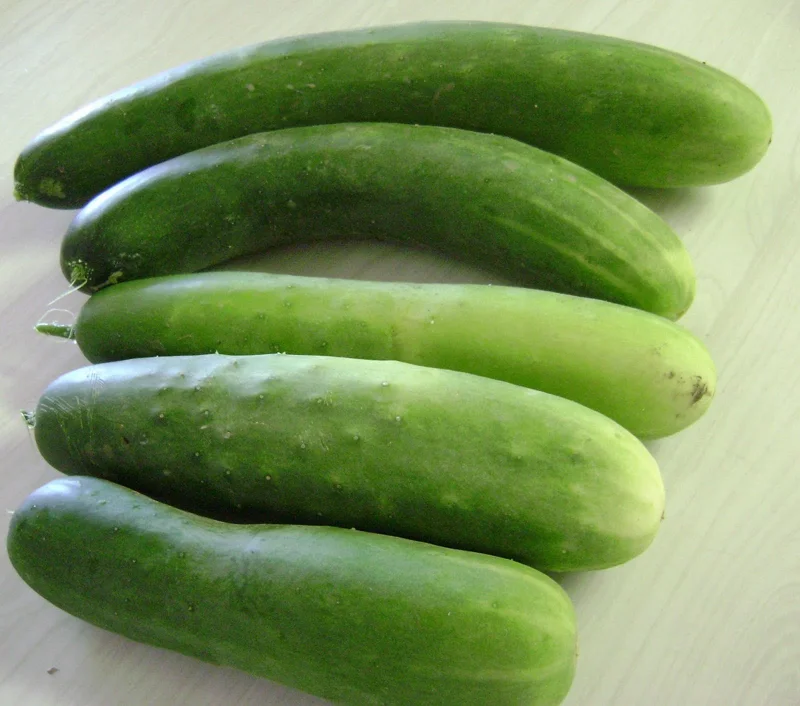 Garden Sweet Cucumber Seeds Organic Burpless Non-GMO - Free Shipping