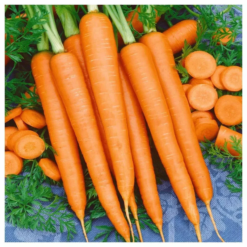 Tendersweet Carrot Seeds - Non-GMO - Free Shipping - Vitamin A Rich